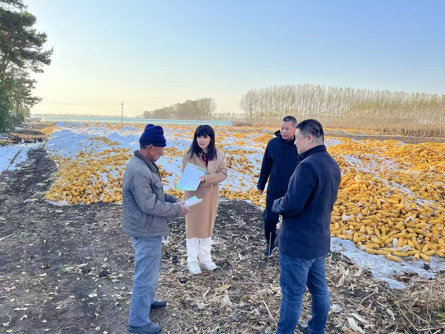 （市粮储局、北林区粮储局工作人员深入村屯向村民发放宣传资料）